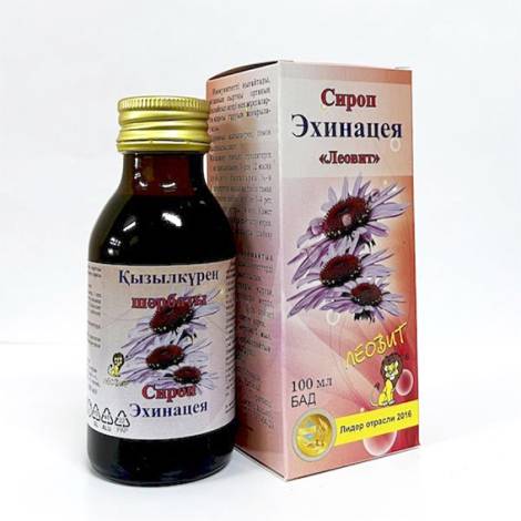 Эхинацея 100,0 сироп